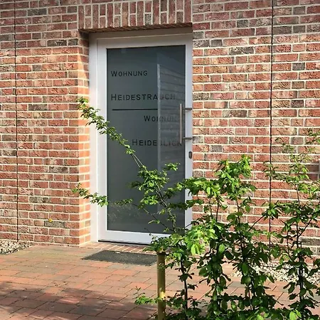 Thuele פריזוייטה